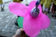 dscf3455