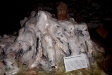 pict0019