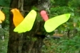 photo24